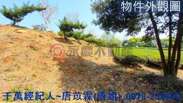 苗栗苗栗市建地-8