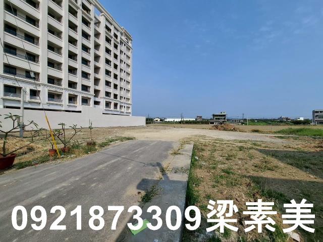 善化農地-1