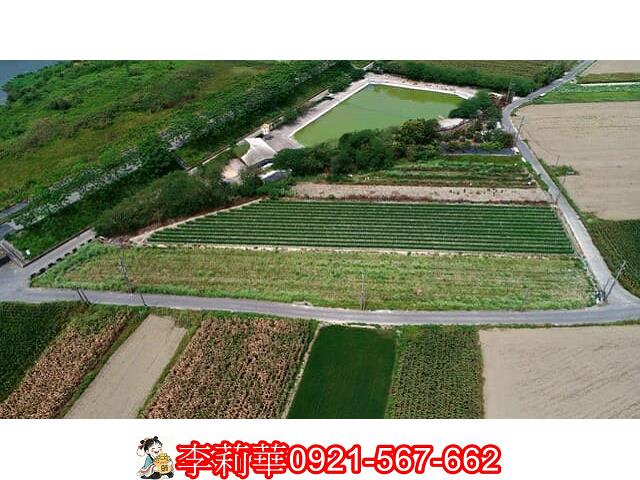 仁德農地-8