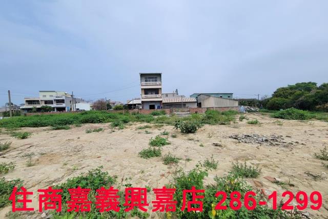 民雄農地-11