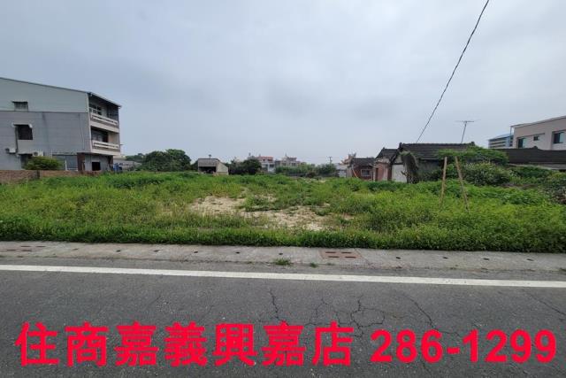 民雄農地-4