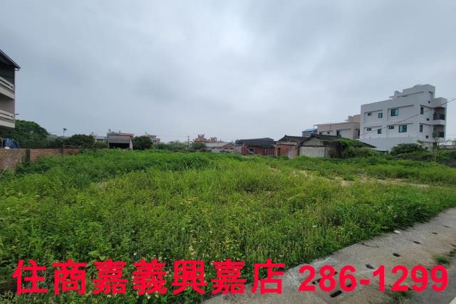 民雄農地-8