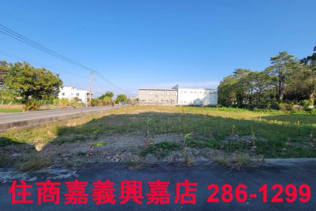 西區農地-4