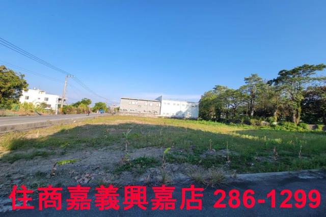 西區農地-6