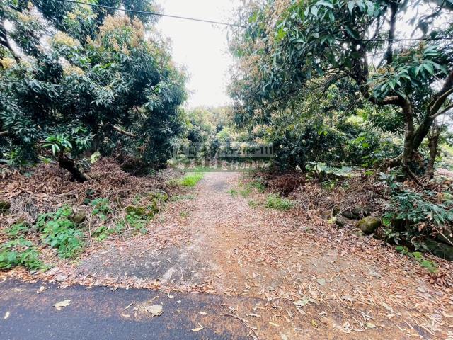 竹崎農地-9
