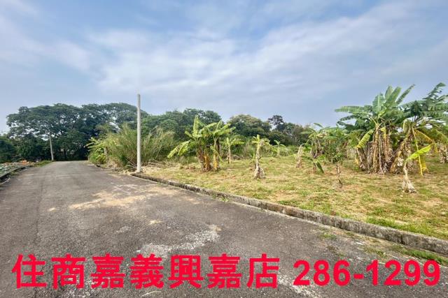 東區農地-1