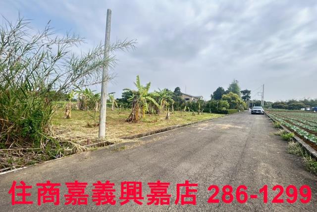 東區農地-2
