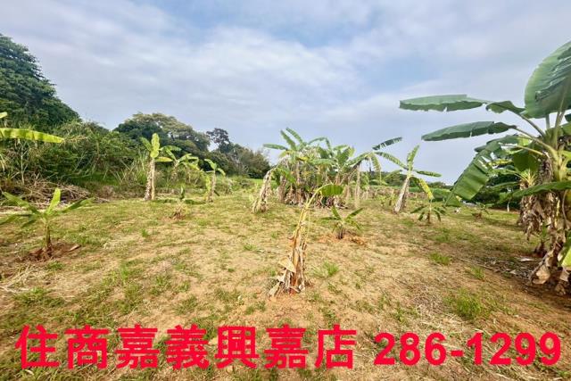 東區農地-4