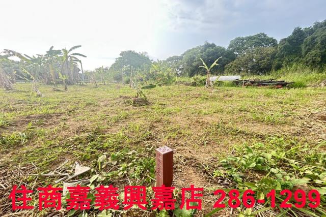 東區農地-8