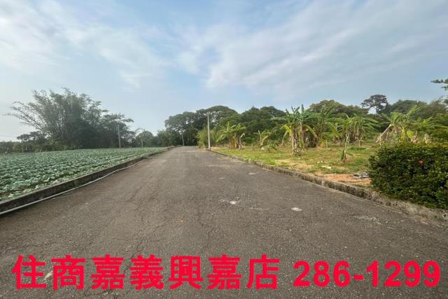 東區農地-9