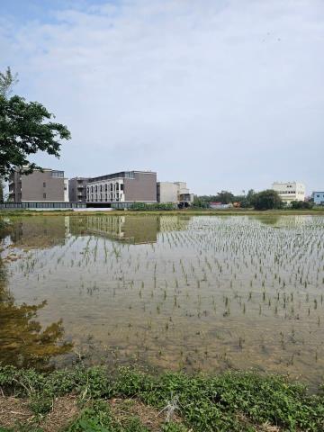 桃園新屋農地-1
