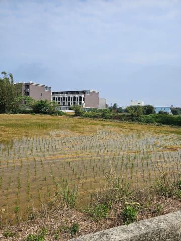 桃園新屋農地-4