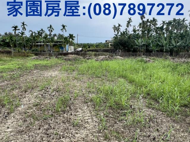 屏東萬巒農地-3
