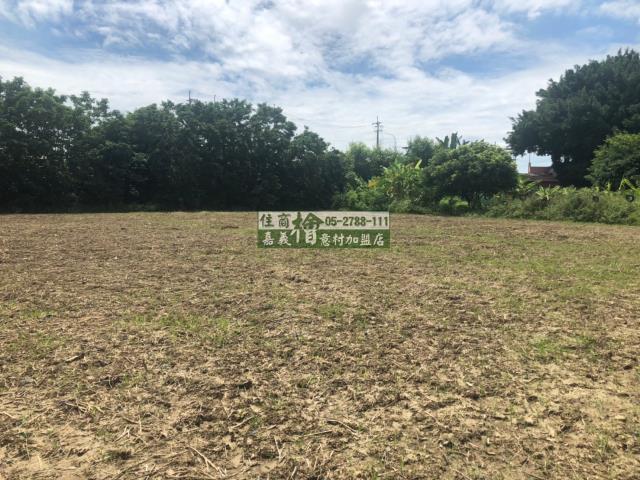 民雄農地-1