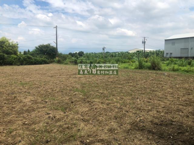 民雄農地-5