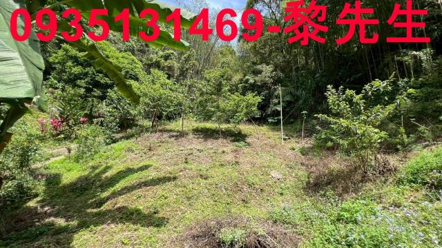 橫山林地-11