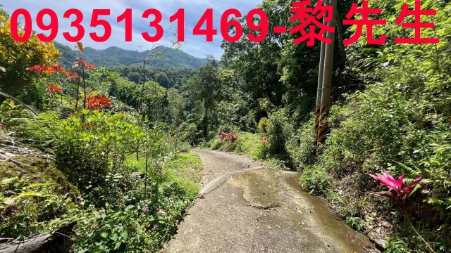 橫山林地-13
