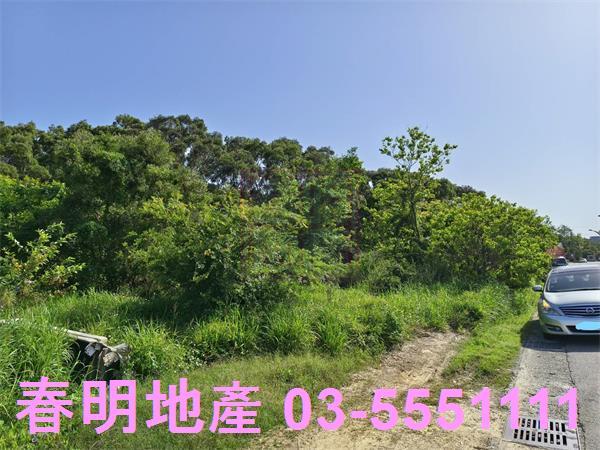 湖口農地-9
