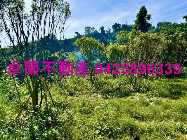苗栗農地-3