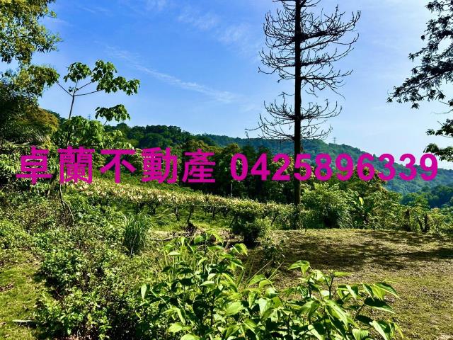 苗栗農地-4