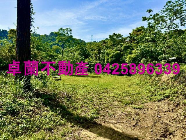 苗栗農地-11
