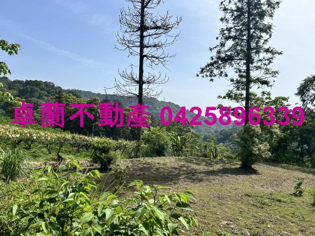 苗栗農地-3