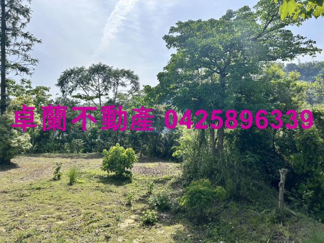 苗栗農地-4