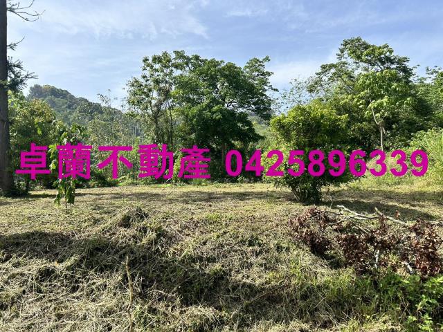 苗栗農地-5