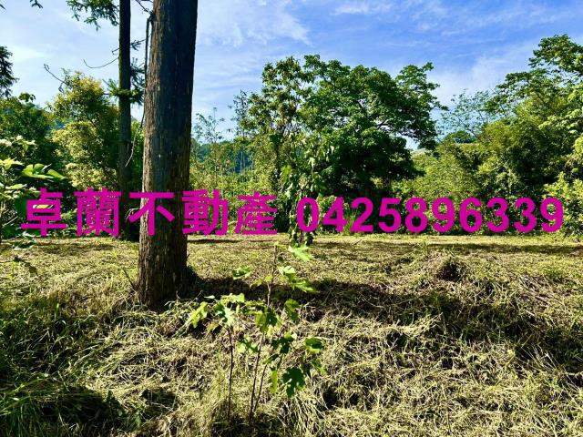苗栗農地-6