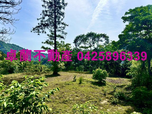 苗栗農地-9
