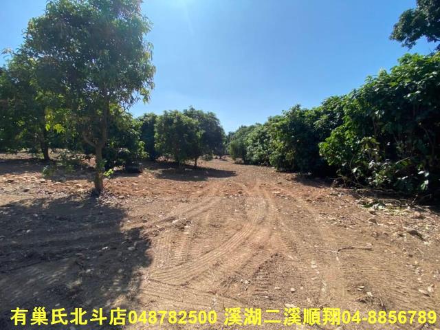 彰化社頭農地-1