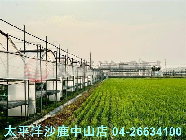 台中大肚農地-7