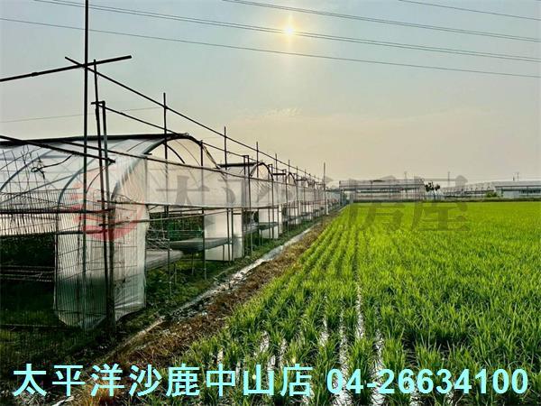 台中大肚農地-9