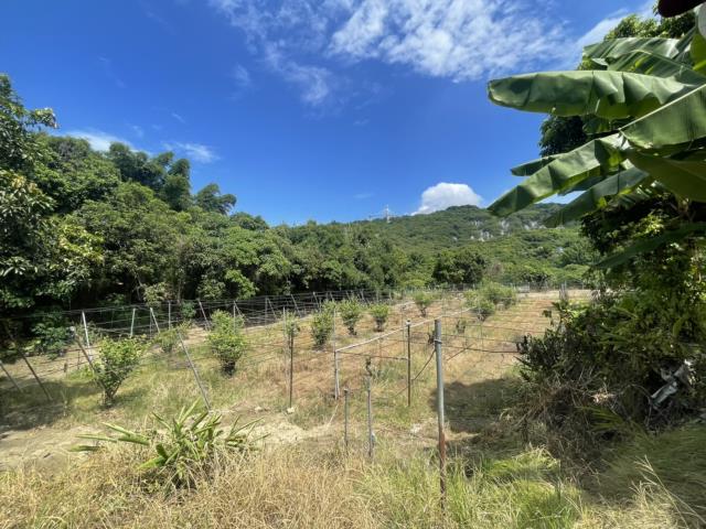 高雄燕巢農地-8