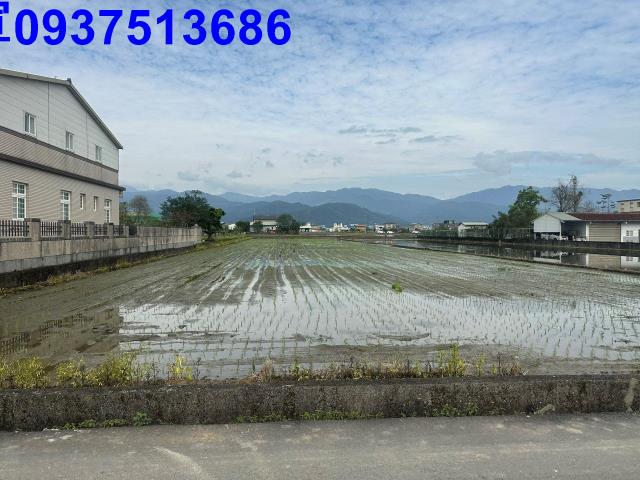 員山農地-9