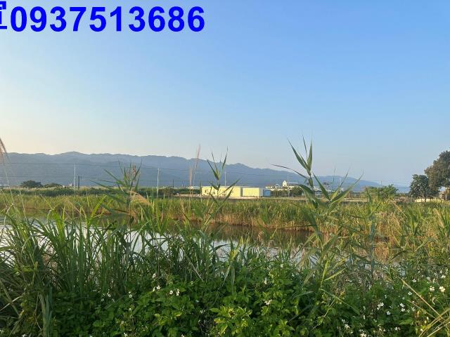礁溪農地-6