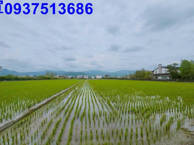 員山農地-5
