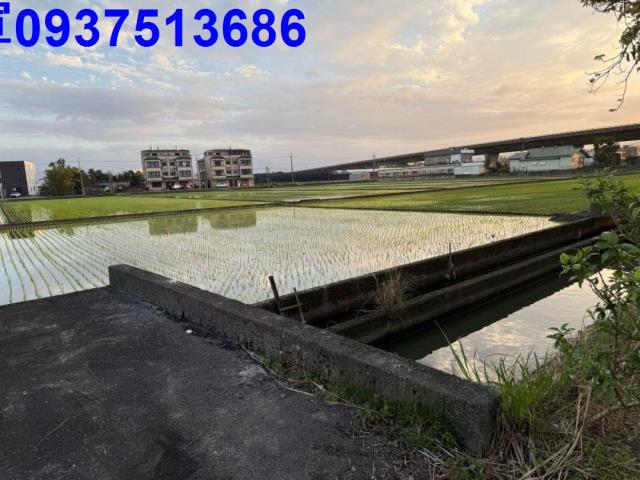壯圍農地-1