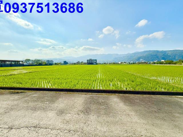 礁溪農地-9