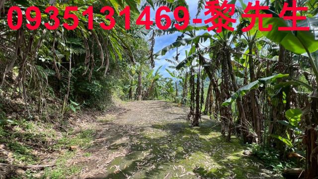 新竹橫山林地-10