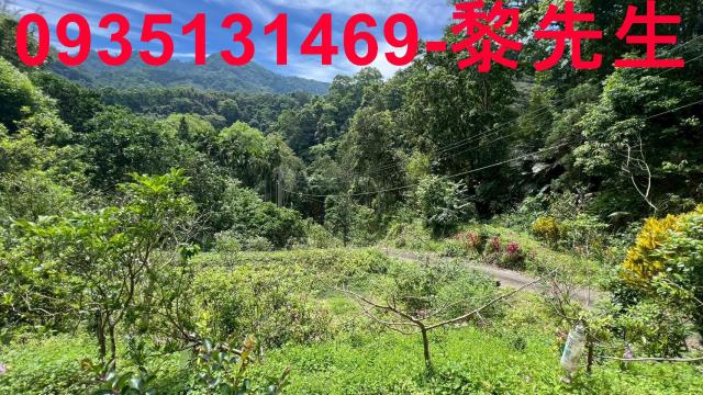 新竹橫山林地-5