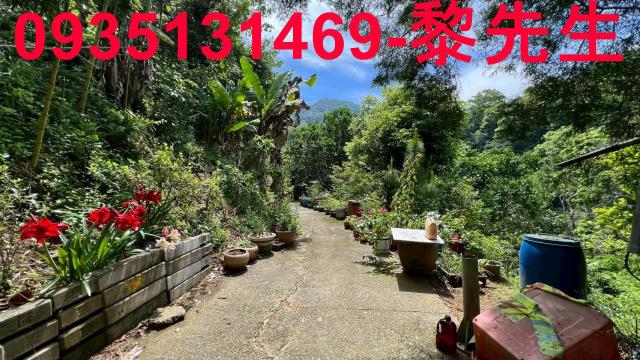新竹橫山林地-8