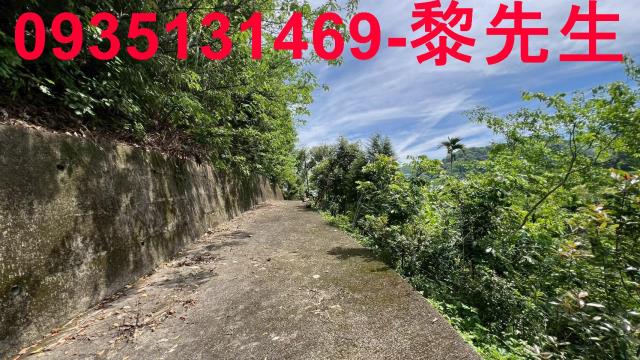 新竹橫山林地-9