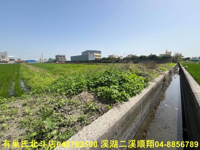 彰化秀水農地-8