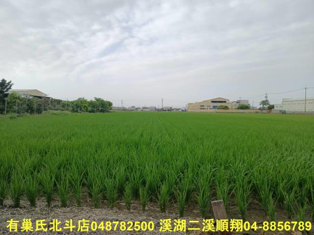彰化埔鹽農地-1