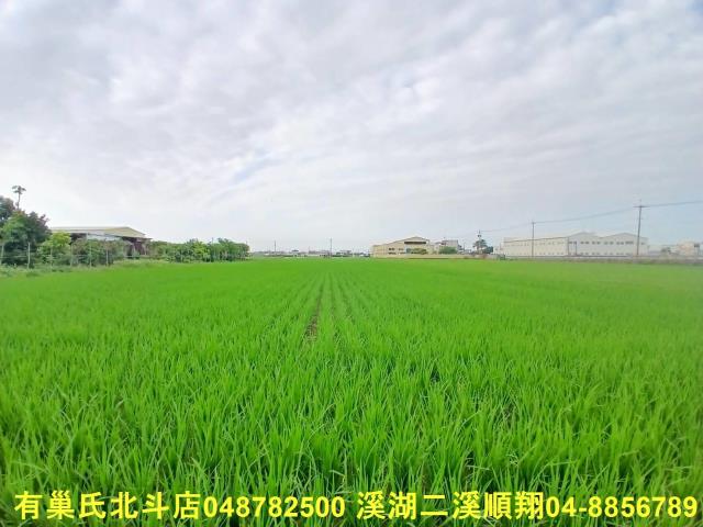 彰化埔鹽農地-2