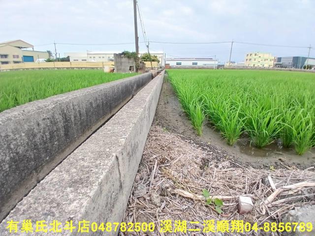 彰化埔鹽農地-3