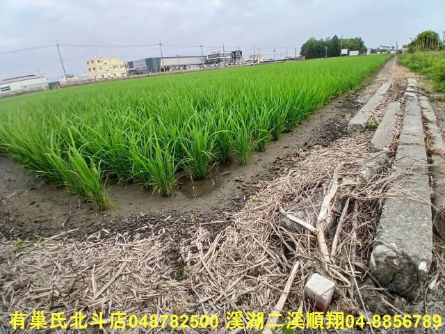 彰化埔鹽農地-4