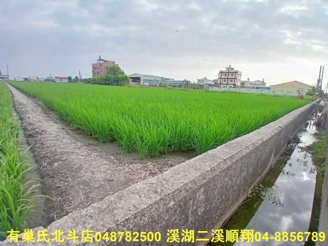 彰化埔鹽農地-6
