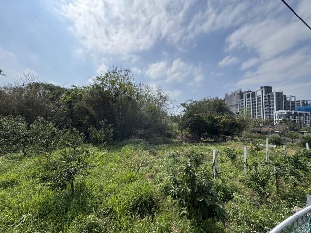 桃園中壢農地-5